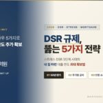 DSR 규제
