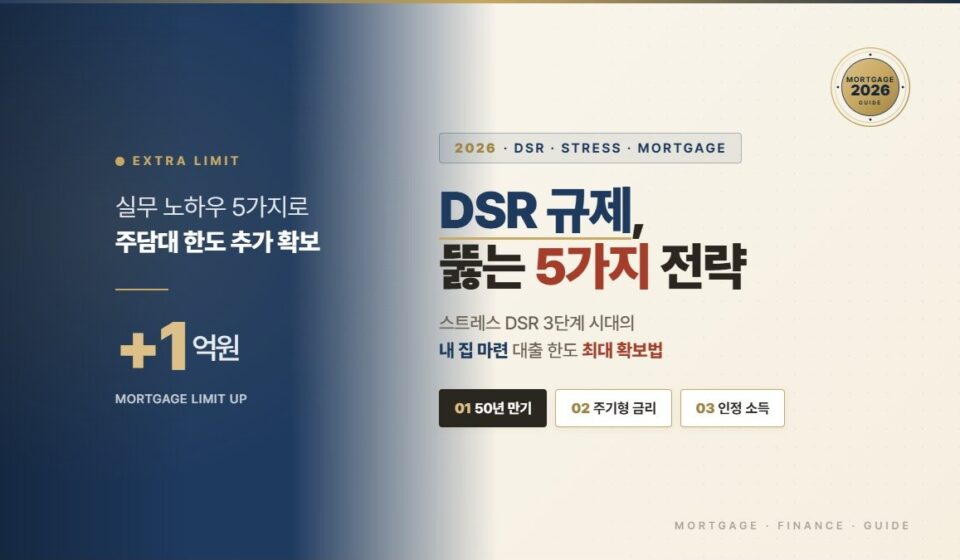 DSR 규제